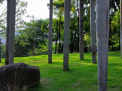 -四海公园(南山区)