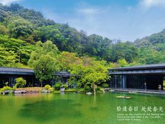 -云溪植物园