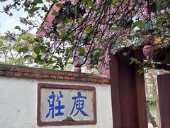 -庾园