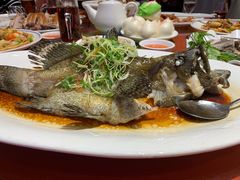 -御生皇·新天然居·顺德鱼生·顺德菜·广式早茶