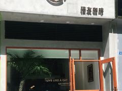 -猫友咖啡店(玉林西路店)