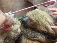-正佳雨林生态植物园