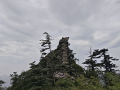 -朱雀国家森林公园