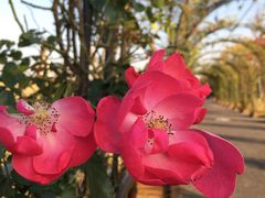 -广富林郊野公园