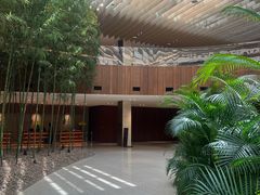 -北京望京凯悦酒店The Lounge大堂酒廊