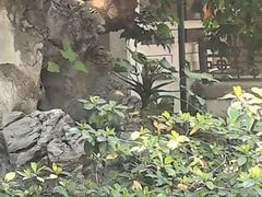 -东江渔村·古典园林·30年粤菜老字号(太和店)