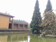 -武陵山森林公园
