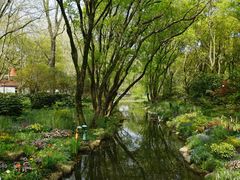 -上海共青森林公园