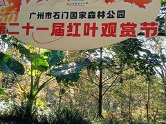 -广州市石门国家森林公园