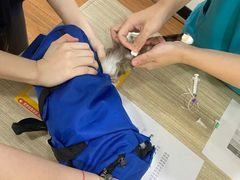 -荔康动物医院(康王北路店)