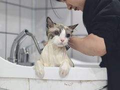 -BABIT巴比特宠物(MOMOPARK店)