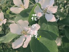 -陕西省西安植物园