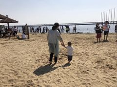 -碧海金沙
