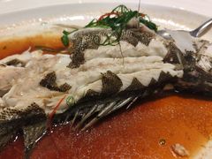 -新海利海鲜城·41年珠海老字号(夏湾店)