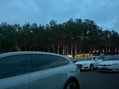 -枫花园汽车电影院(朝阳公园店)