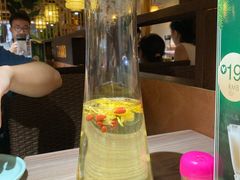 -探窝·竹笙椰子鸡(杨箕店)