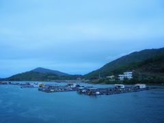 -盐洲岛