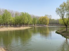 -东郊湿地公园