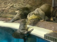 -成都浩海立方海洋公园