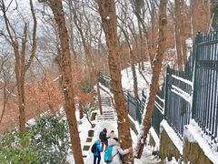 -紫金山山顶公园