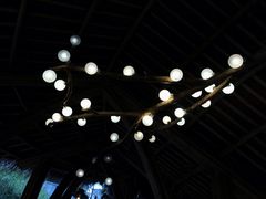 -重庆市江北嘴中央商务区中央公园