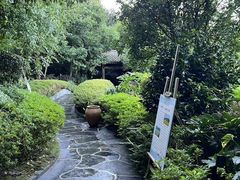-腾冲洞山温泉村