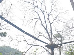 -芦仙山景区-飞越丛林探险乐园