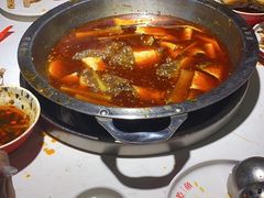 -蜀滋香鲜鱼美蛙火锅(339店)