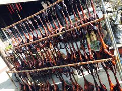 iphone_upload_pic-阮氏酒家(柯桥店)