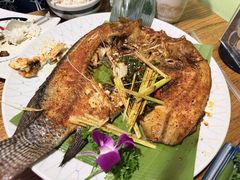 -紫滇源云南生态菜(丹凤街店)