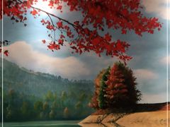 -解家河南菜(商鼎路店)