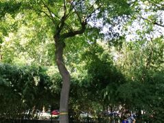 -秀水公园