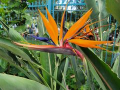 -国家植物园南园