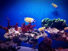 -海合安武汉极地海洋公园