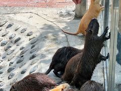 -水上乐园·欢乐世界