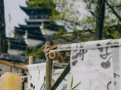 -乌镇景区