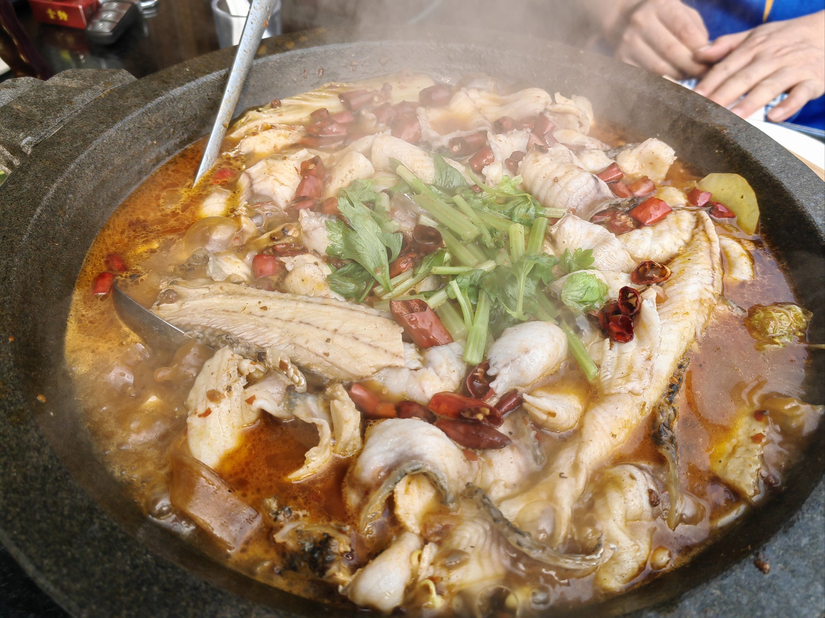 这个鱼想了好久