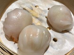 -玉玲珑(陆家嘴店)