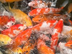 -上海大自然野生昆虫馆(东方明珠·爬宠昆虫探索中心)