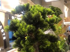 -老房老舍重庆火锅(假日城市店)