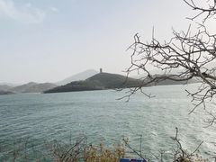 -望湖烤鱼