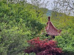 -大连植物园
