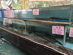 -荔城生鲜盛宴(番禺旗舰店)