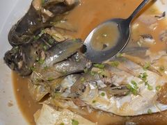 -船歌·鱼水饺青岛菜(闽江二路店)