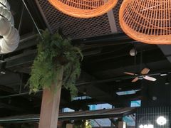 -大头椰·椰子鸡火锅(桂林万象城店)