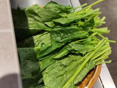 -生活如沸·顺德水牛奶火锅(大学路店)