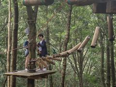 -衢州大荫山丛林飞越探险乐园