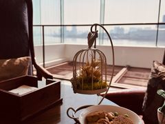 -白天鹅宾馆·月兔吧
