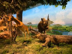 -国家自然博物馆