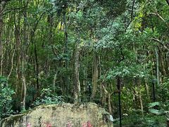-赭山公园